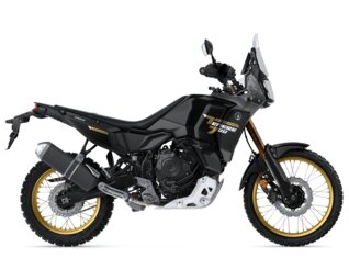 TENERE 700 WORLD RAID