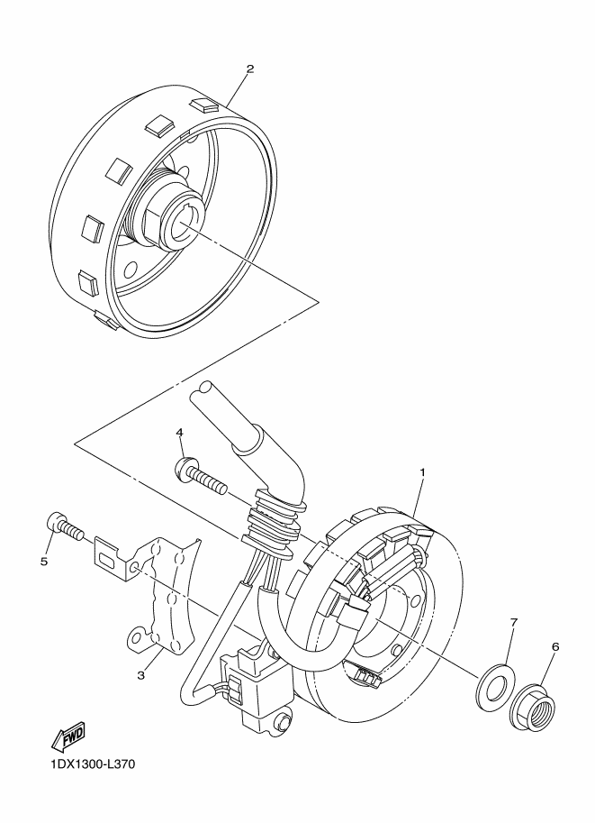 38 - GENERATRICE