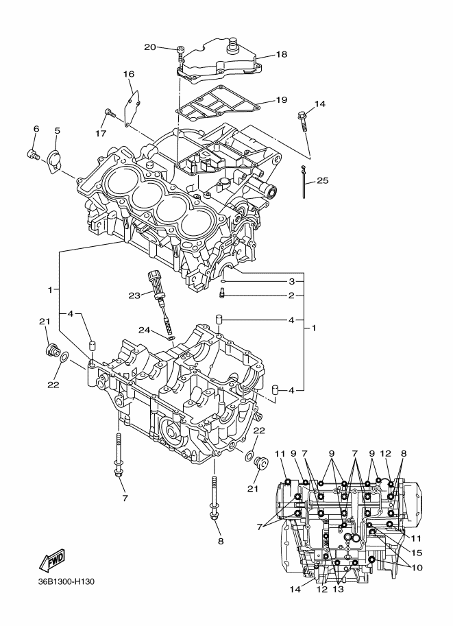 13 - CARTER