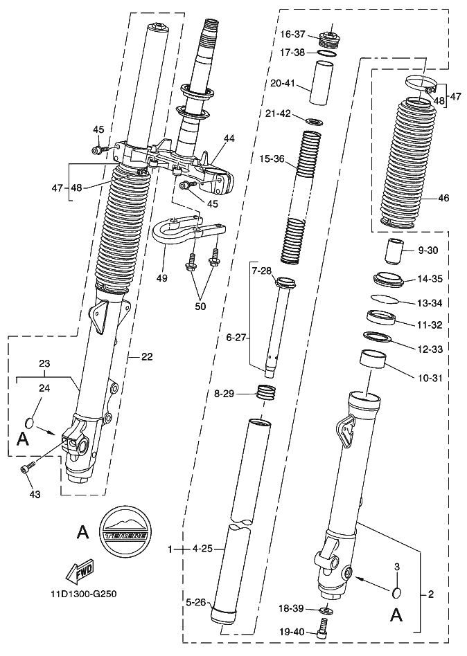 25 - FOURCHE AVANT