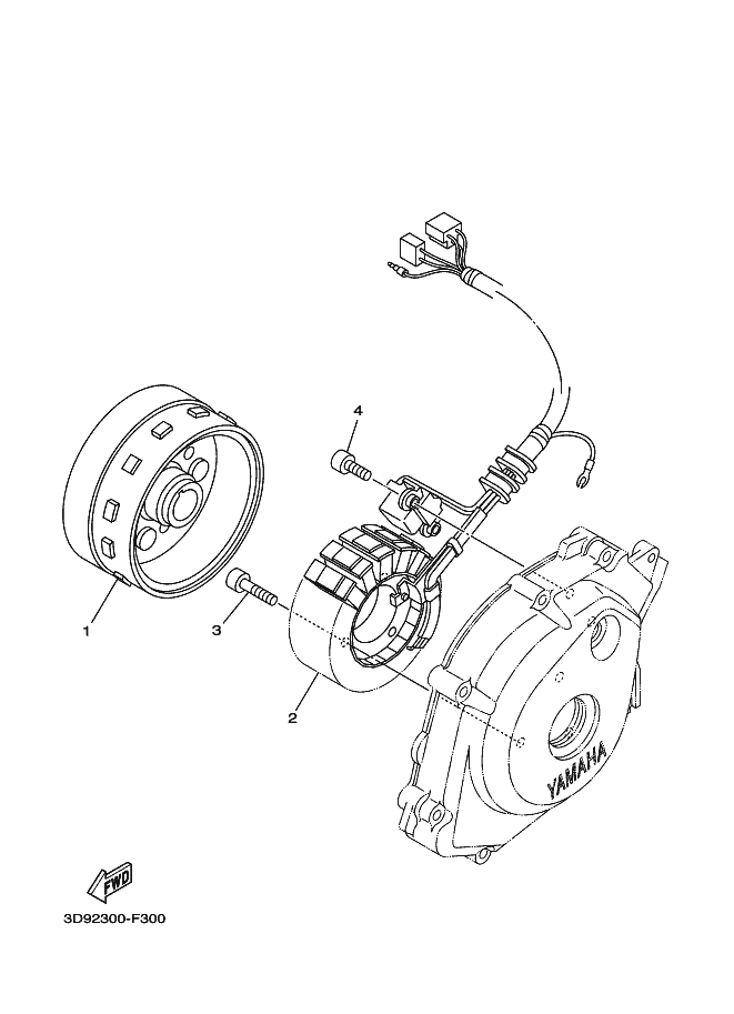 30 - GENERATRICE