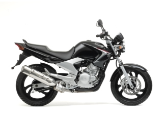 YBR250