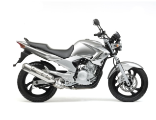 YBR250