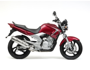 YBR250