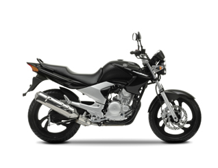 YBR250