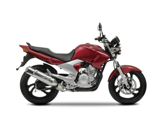 YBR250