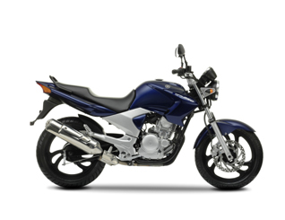 YBR250