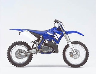 YZ250