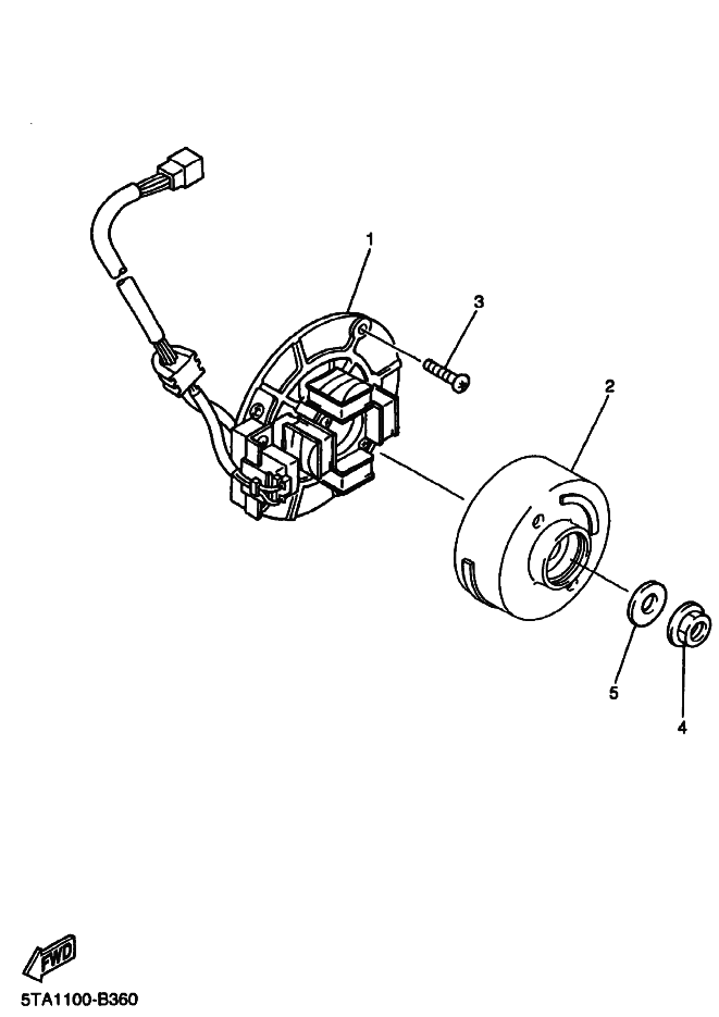 36 - GENERATRICE