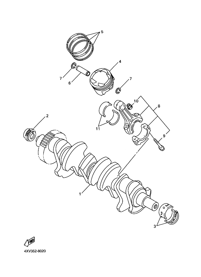 02 - VILEBREQUIN & PISTON