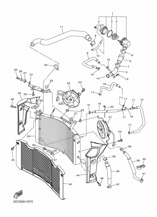 07 - RADIATEUR & TUYAU