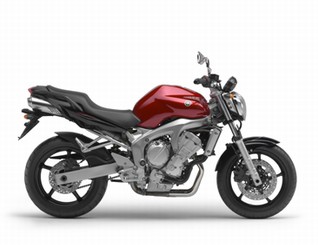 FZ6 NAKED