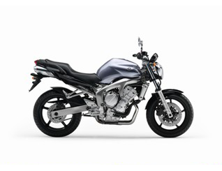 FZ6 NAKED