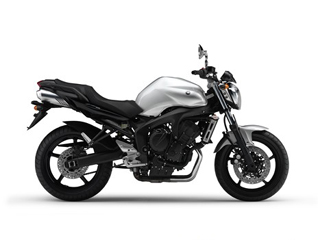 FZ6 NAKED HG