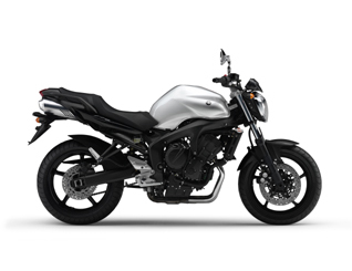 FZ6 NAKED HG