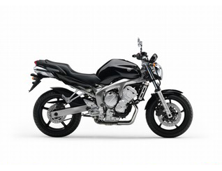 FZ6-N