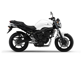 FZ6-NHG