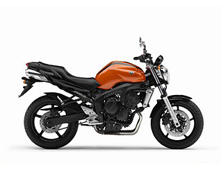 FZ6-NS