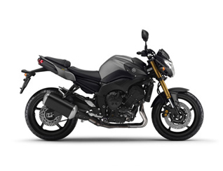 FZ8