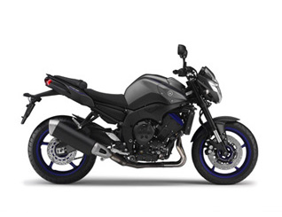 FZ8