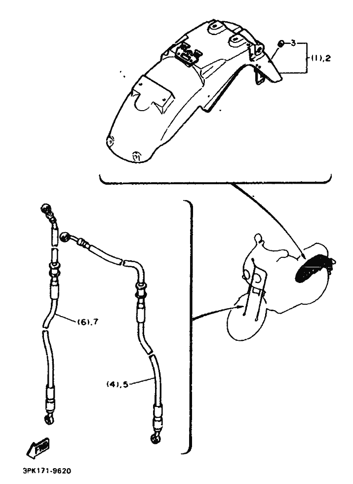 62 - ALTERNATE (FENDER)