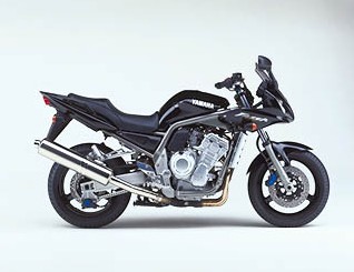 FZS1000
