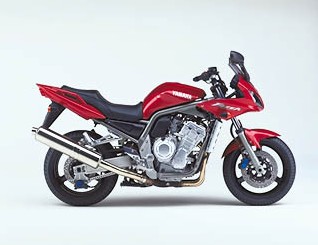 FZS1000