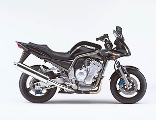 FZS1000