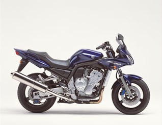 FZS1000