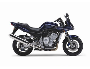 FZS1000