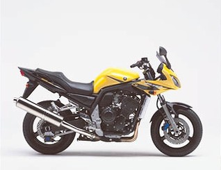 FZS1000S