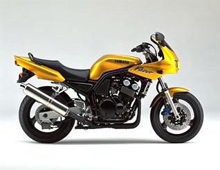FZS600