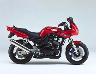 FZS600