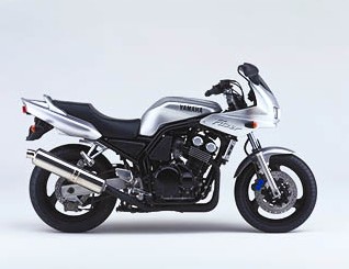 FZS600