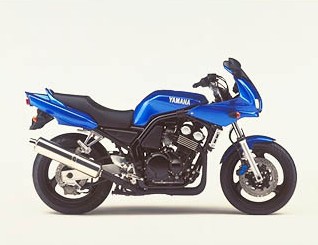 FZS600