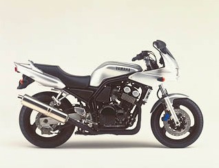 FZS600