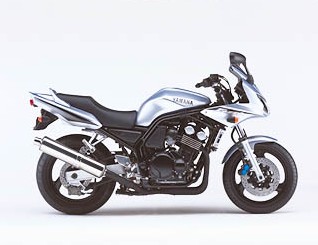 FZS600