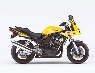 FZS600