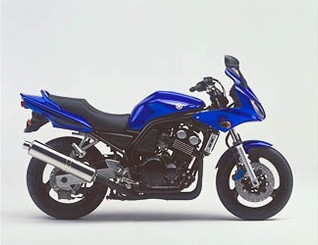 FZS600
