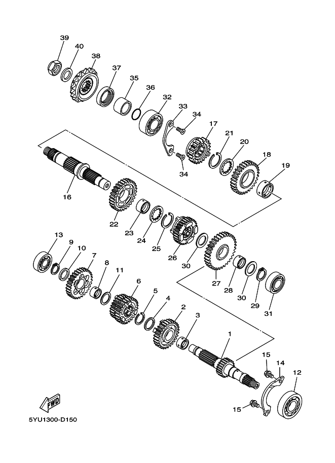 15 - TRANSMISSION
