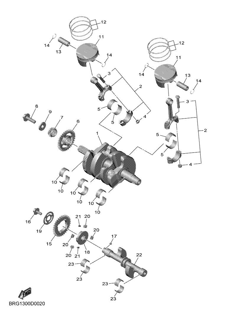 02 - VILEBREQUIN & PISTON