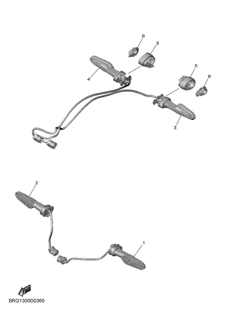 36 - CLIGNOTANT