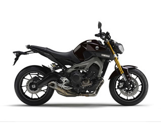 MT-09