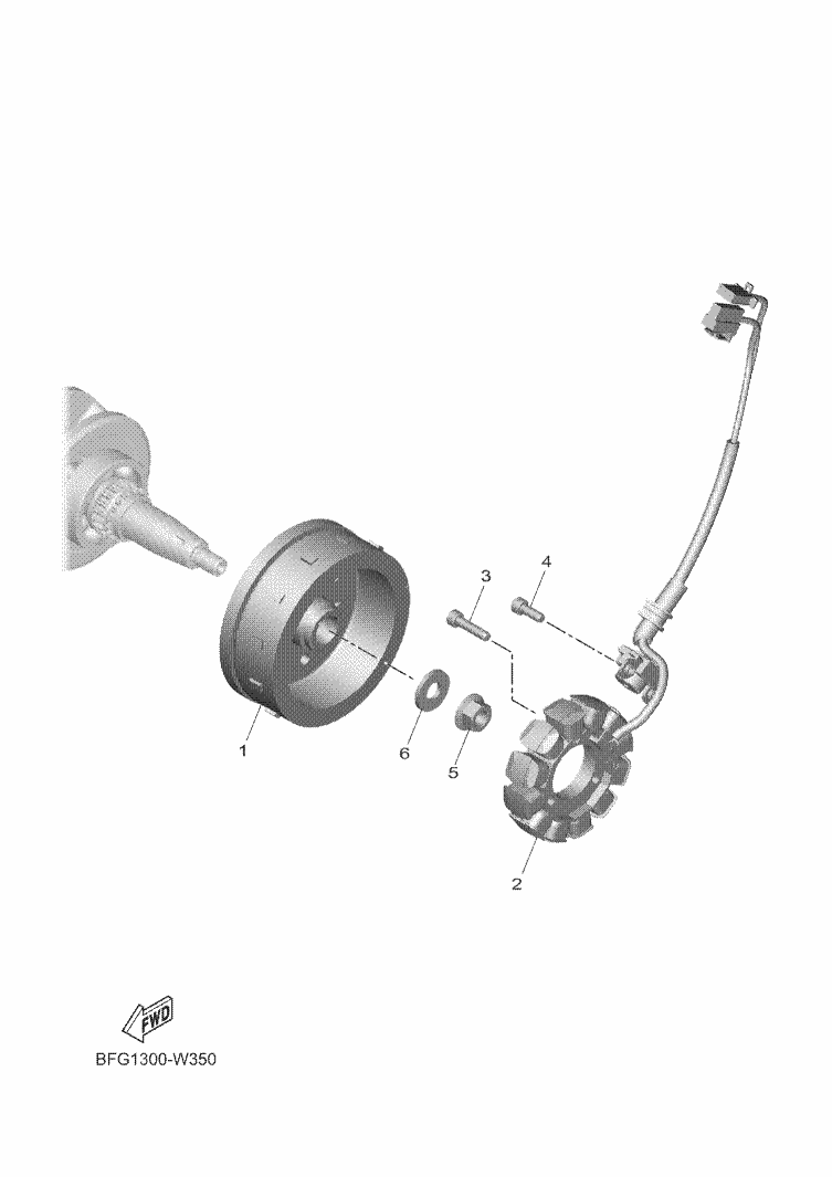 36 - GENERATRICE