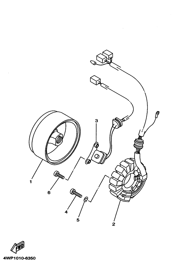 31 - GENERATRICE