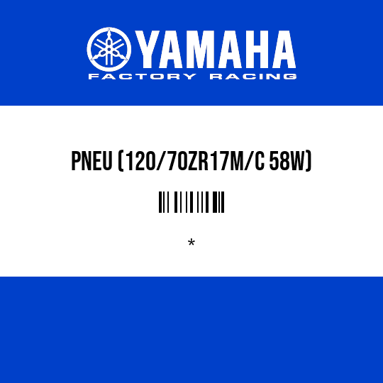 PNEU (120/70ZR17M/C 58W)