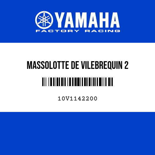 MASSOLOTTE DE VILEBREQUIN 2