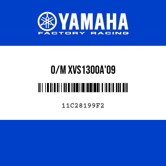 O/M XVS1300A'09