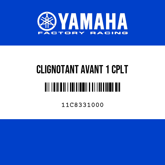 CLIGNOTANT AVANT 1 CPLT