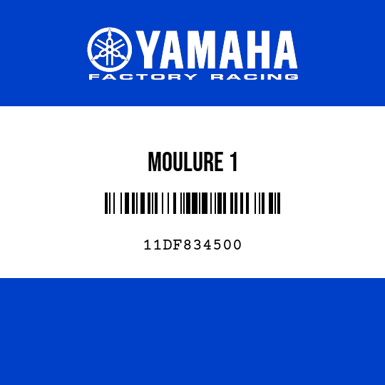 MOULURE 1